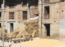 Thimi: An Artistic Odyssey