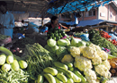 The Frenetic Zeal of the Kalimati Fresh Vegetable Bazaar