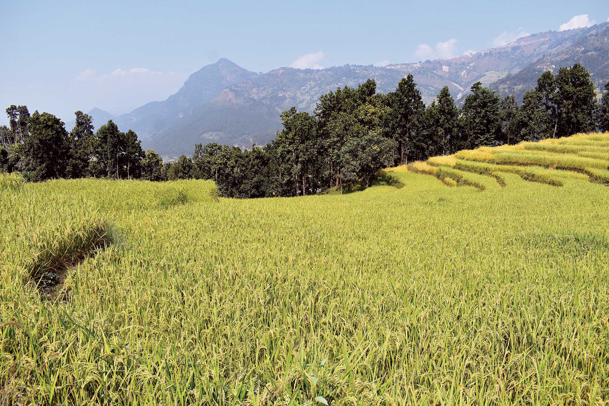 Rich in Beauty and History, Nuwakot Beckons